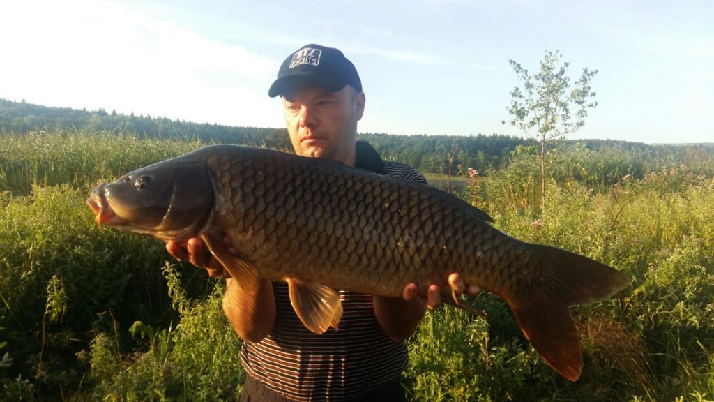 image-0-02-01-087cf61ce18c31c2ba8be82129409be38ece8dec647085f57b050b7d8d0d4f13-V