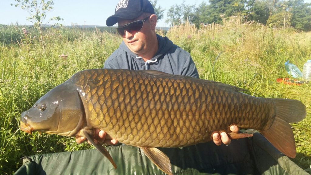 image-0-02-01-7bc6a89d76cee3e3a1f827ddab40c11cda81a4f2abc99459189ba2bd6e1e6d2f-V