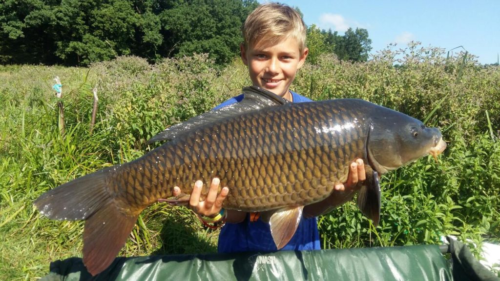 image-0-02-01-95d5fd99a9b6d46ad85c6cb466e0f96e9f6956ea9e4f8875eb632875bc1d6ec0-V_1472474788420