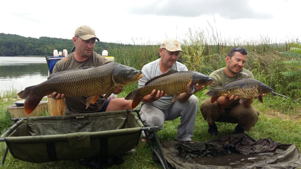 image-0-02-05-467c9ac918e034ebc5967bad2beb0d7ce773d924bdd880f2c71b5df11b072b15-V_1481739138065