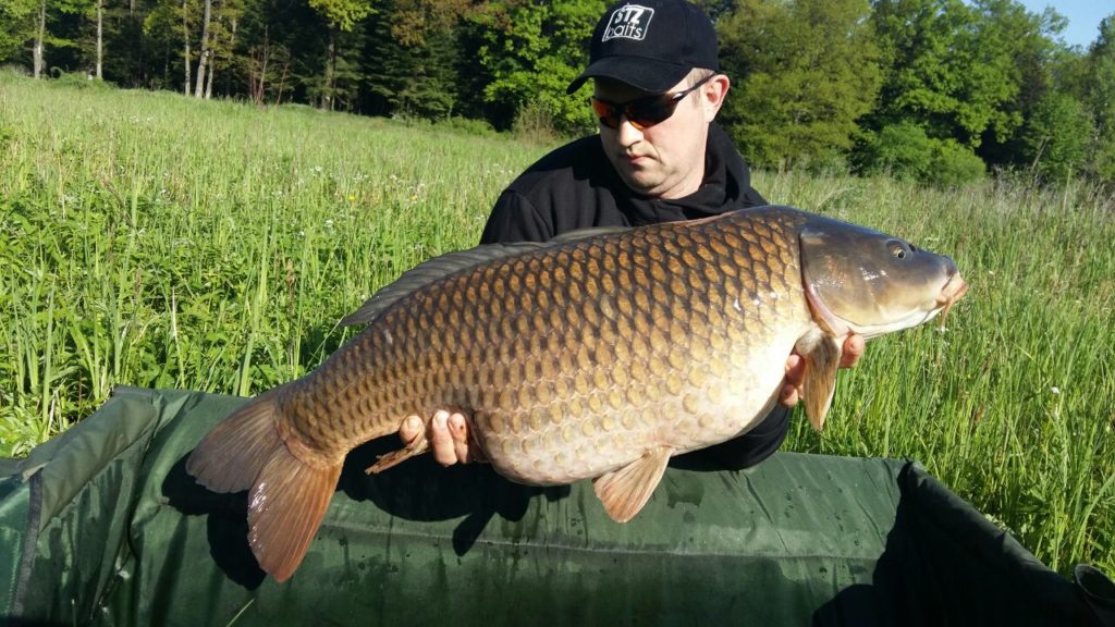 image-0-02-05-87ec3382ca7b306b196c334f038cc7ac75f9a29e0ff46b03ce61d06e24c8f595-V_1481739281799