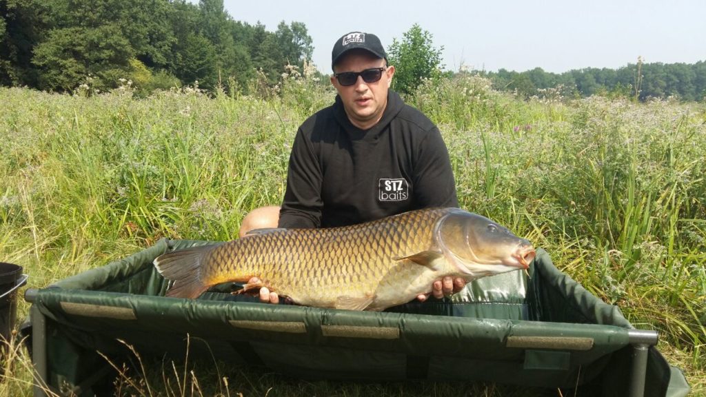 image-0-02-05-d696733146083f08f0b2ea539b21abecd838716c46c9d8378c79f5eef50ee294-V_1481739280962