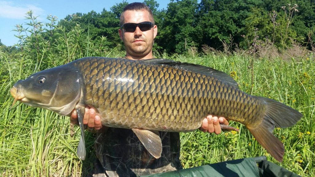 image-0.02.01.3a0f86c312204a0e00f7a81466dc2f81cefcaaa1b8e378eb435b4349444ee3a7-V