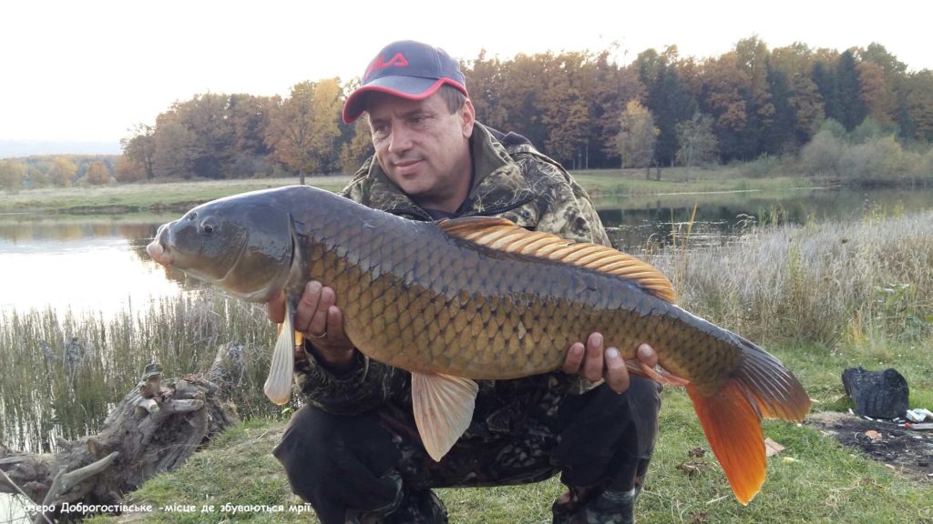 image-03a00c07632a093e6e3b28e06f81b141df157579b1e18d9e0fe1342d27bdbd82-V