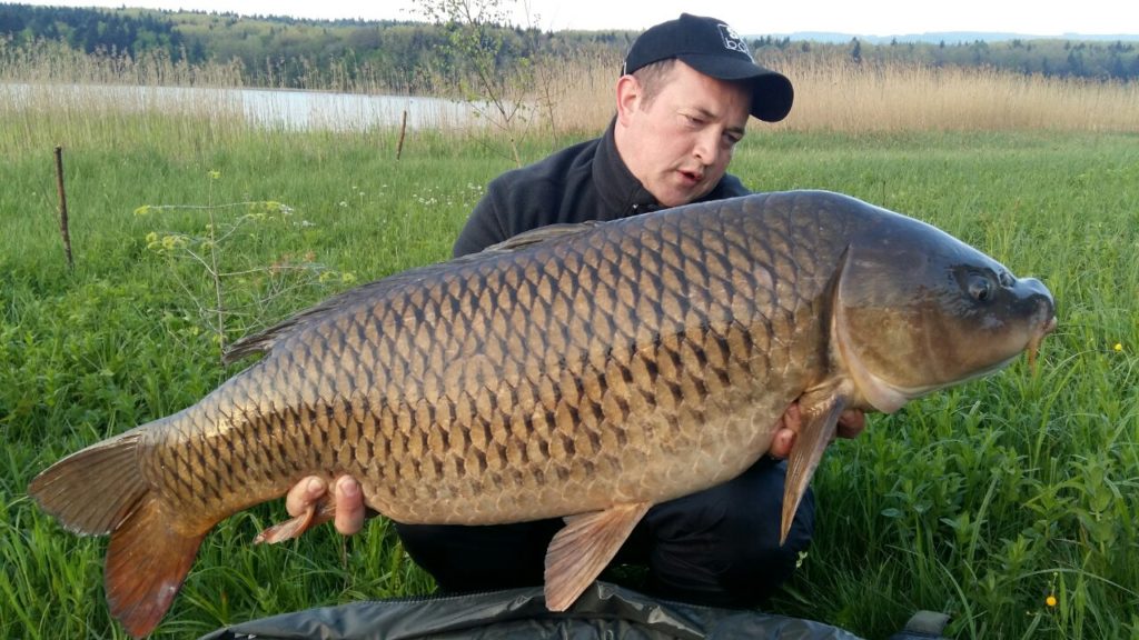 image-b214ca4bf6c451f8f04f4a2be3f4a3526fe4903bb86d5111351a913606824f82-V