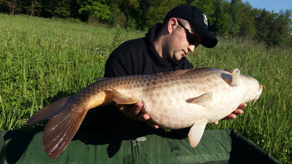 image-fb0b8ecabc02961583bfb541a11f2583594db100126f24d5b8ceece2dc59375f-V-min