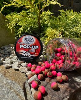 5330269622718553389 (1)