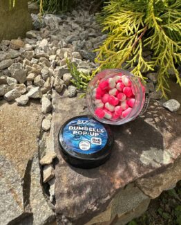 5330269622718553268 (1)