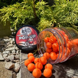 POP-UP"TANGERINE"