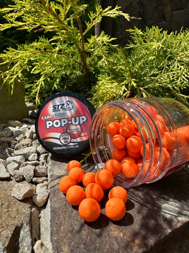 POP-UP"TANGERINE"