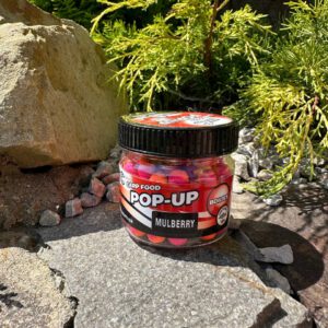POP-UP"MULBERRY"