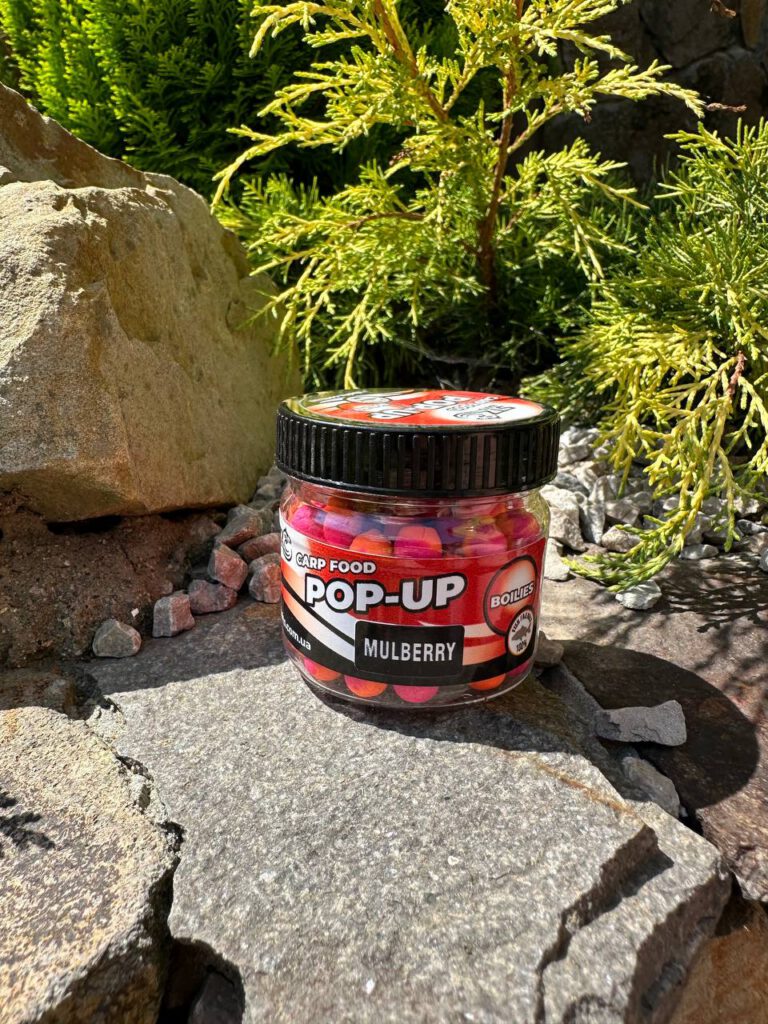POP-UP"MULBERRY"