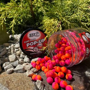 POP-UP"SQUID-BERRY"