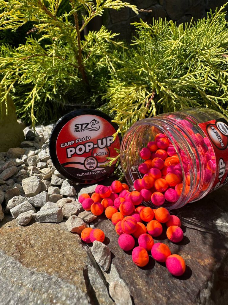 POP-UP"SQUID-BERRY"