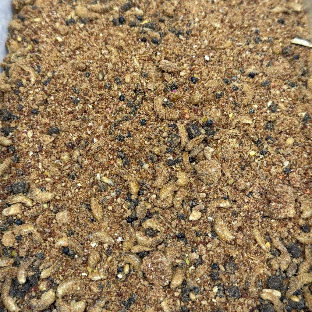 STICK-MIX (3+1) OCTOPUS-BLACK PEPPER